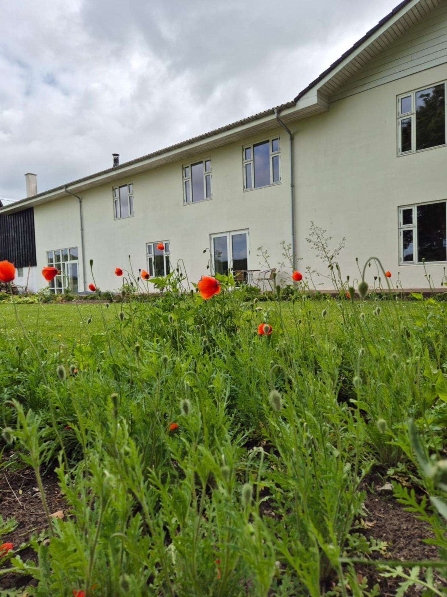 Mols Bed & Breakfast Knebel Eksteriør billede